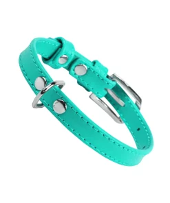 Glamour Collar Plano Color Menta Talla Extra Chico